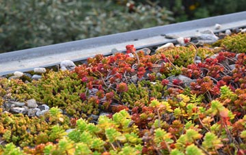 the cost of Tregoodwell green roof installation