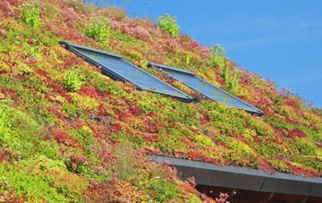 Tregoodwell living roof systems